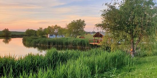 Balta Valea Liliecilor, Teleorman